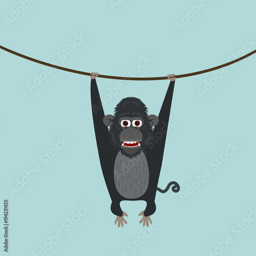 cute monkey climbing the vine