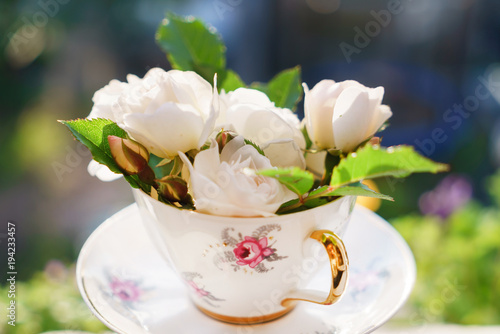 white roses in the cup