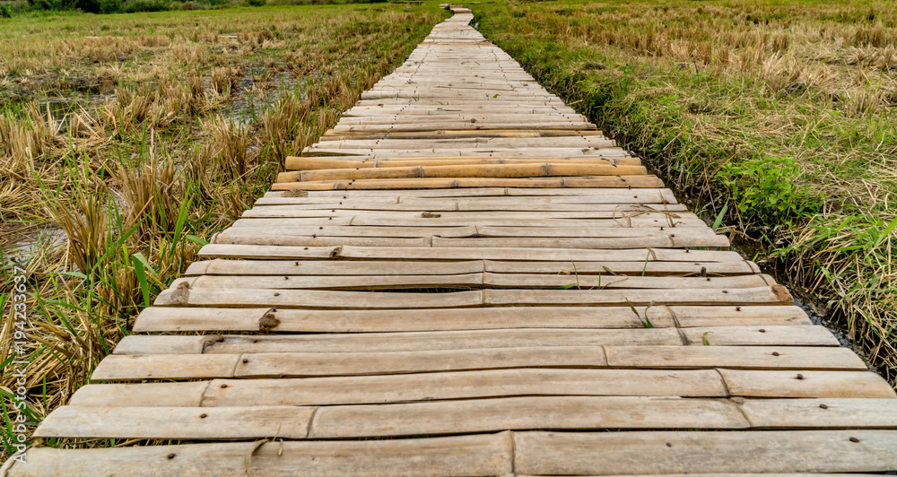 Obraz premium Bamboo footbridge