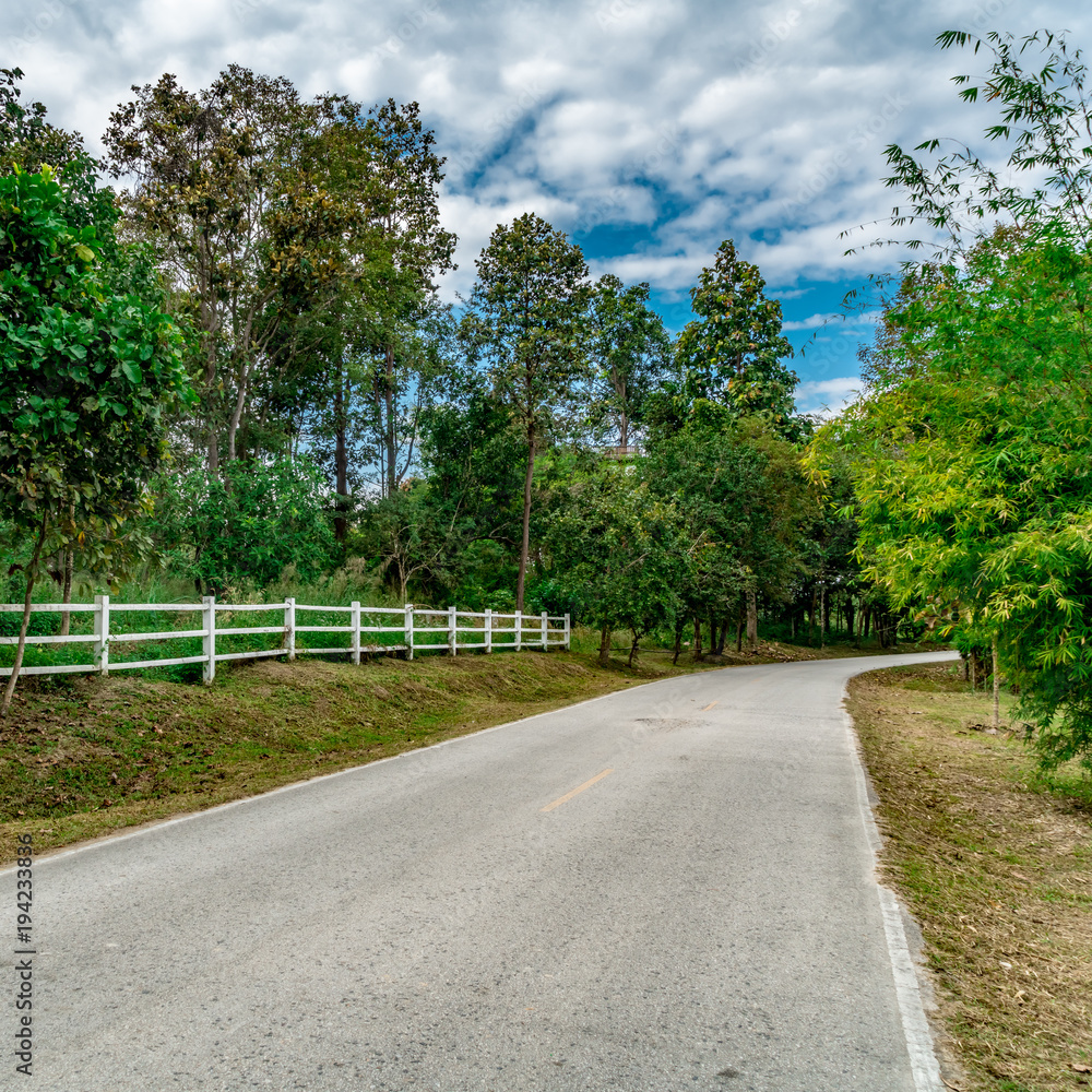 Asphalt country road