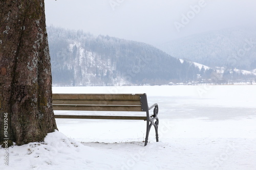 Wallpaper Mural Baum mit Bank an gefrorenem See in winterlicher Berglandschaft Torontodigital.ca