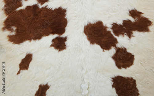 Fur of the cow natural material 