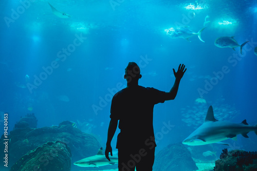 Man watching fish through the glass in Oceanarium