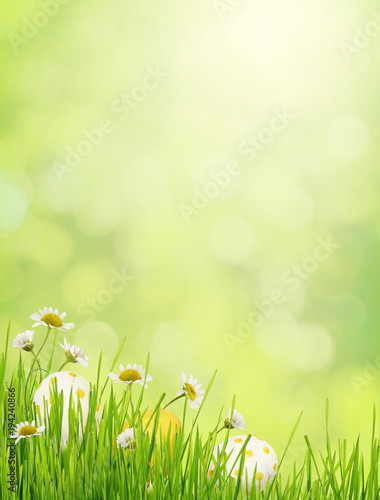 Green background with grass  daisy flowers and Easter eggs
