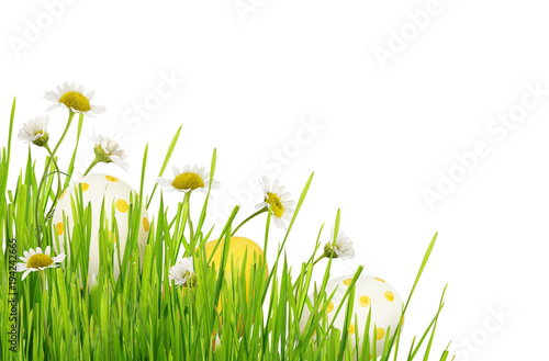 Green grass, daisy flowers and Easter eggs in a corner