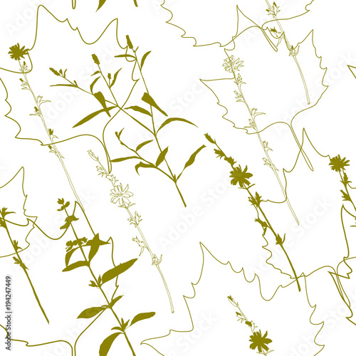 Summer flowers, herbs and leaves floral vector seamless pattern. Realistic botanical background with hand drawn chicory flowers, maple leaves and herbal grasses.