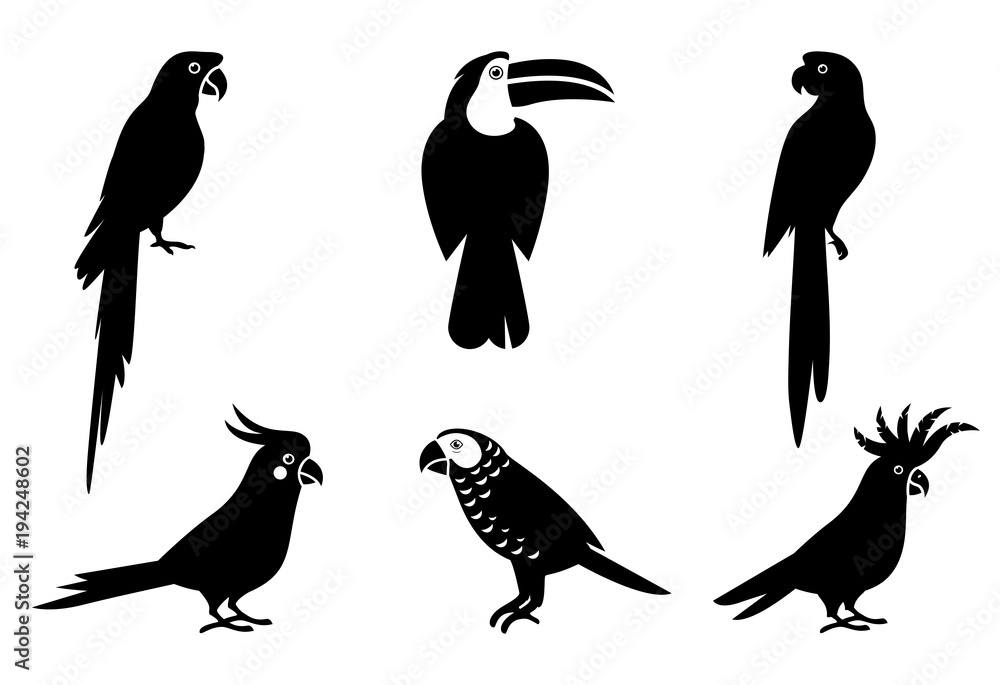 Naklejka premium Tropical parrot set with feathers and wings.