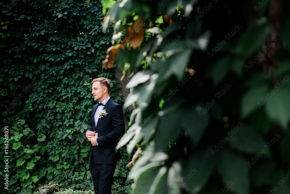 Handsome groom in black suit and white rose boutonniere stands in the garden full of greenery Handsome groom in black suit and white rose boutonniere stands in the garden full of greenery