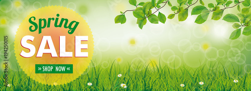 Spring Sale Grass Beech Twigs Daisy Flowers Header