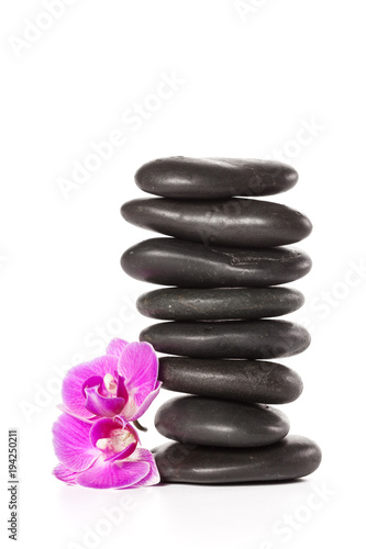 zen stone and orchid. spa concept