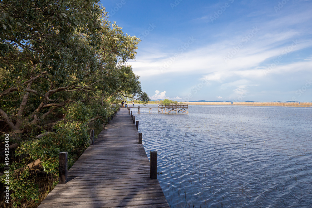bridge to the sea beside mangrove jungle and blue sky