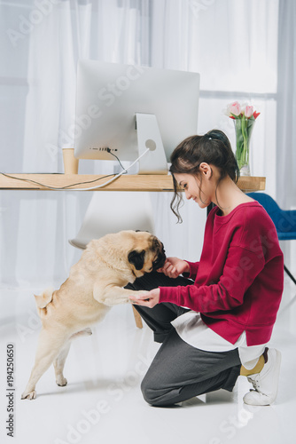 Pretty lady playing with pug by working table in cozy room