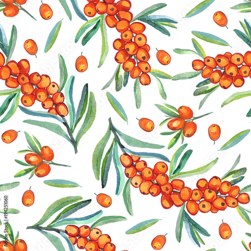 Fototapeta Naklejka Na Ścianę i Meble -  Sea buckthorn branch with ripe berries, berries and leaves, seamless pattern design, hand painted watercolor illustration, white background