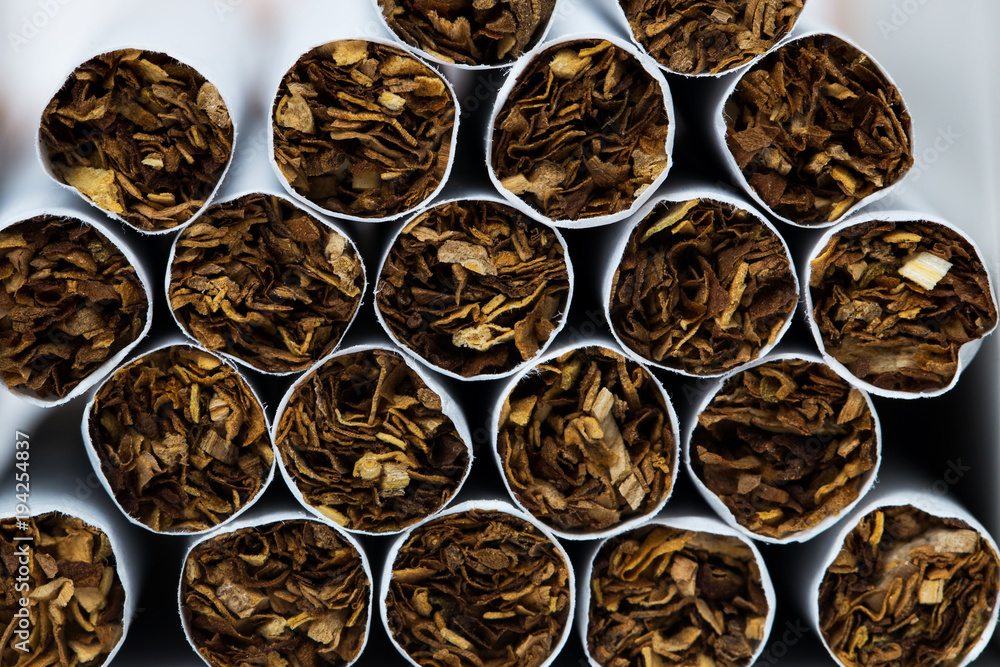 Close-up of Tobacco Cigarettes Background or texture Close-up of Tobacco Cigarettes Background or texture
