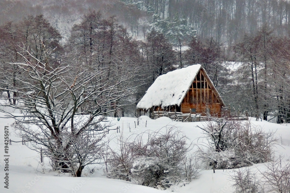 Snowy winter barn