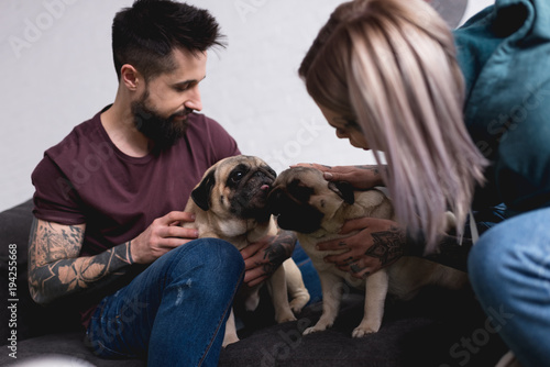 tattooed couple playing with pugs at home