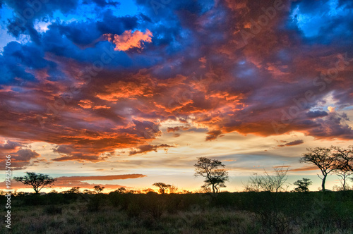 Sonnenuntergang in der N  he von Windhoek  Afrika