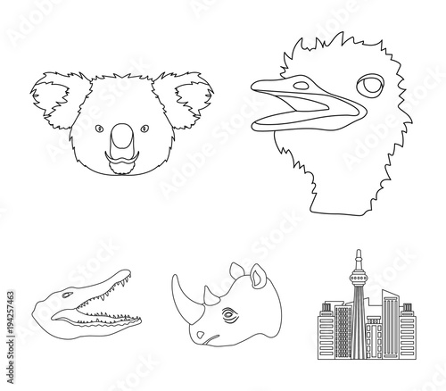 Ostrich, koala, rhinoceros, crocodile, realistic animals set collection icons in outline style vector symbol stock illustration web. photo