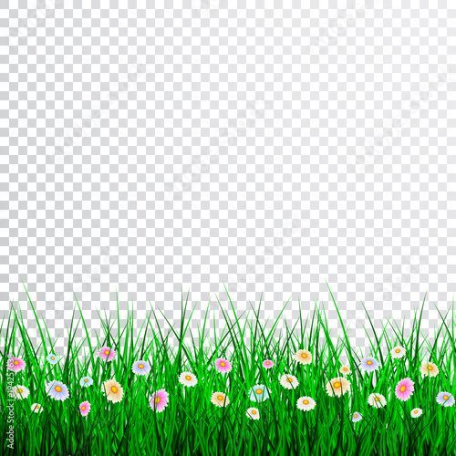 Green Grass with flowers Border Set, Vector Illustration