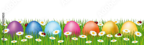 Colorful Easter eggs hidden in a field. Spring vector banner with daisies and ladybugs.
