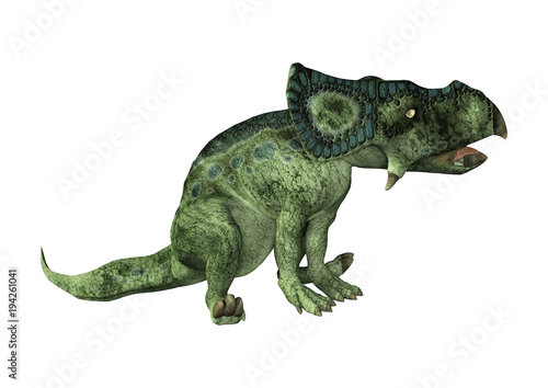 3D Rendering Dinosaur Protoceratops on White © photosvac