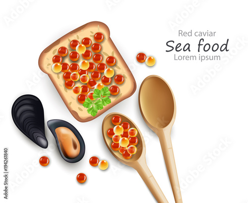 Caviar toast and wooden spoons Vector realistic. 3d illustrations
