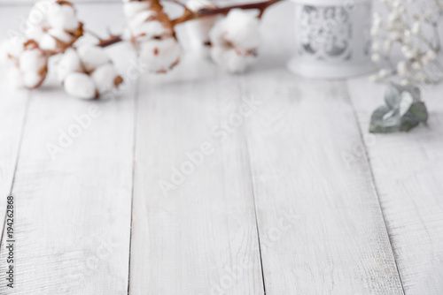 Autumn composition. Dried white fluffy cotton flowers on white wood wall with copy space. Floral composition