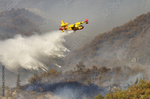 A yellow aircraft Canadair, water bomber or super scooper, in action on a forest fire.