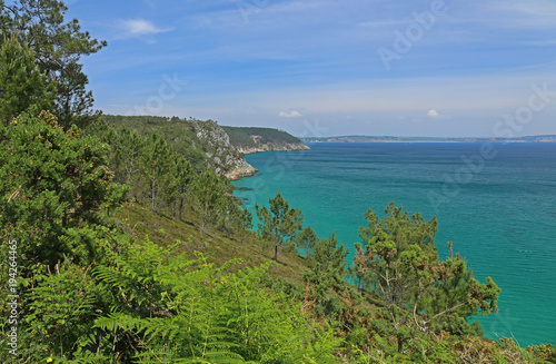 Küstenlandschaft mit Wald, Bretagne, Frankreich