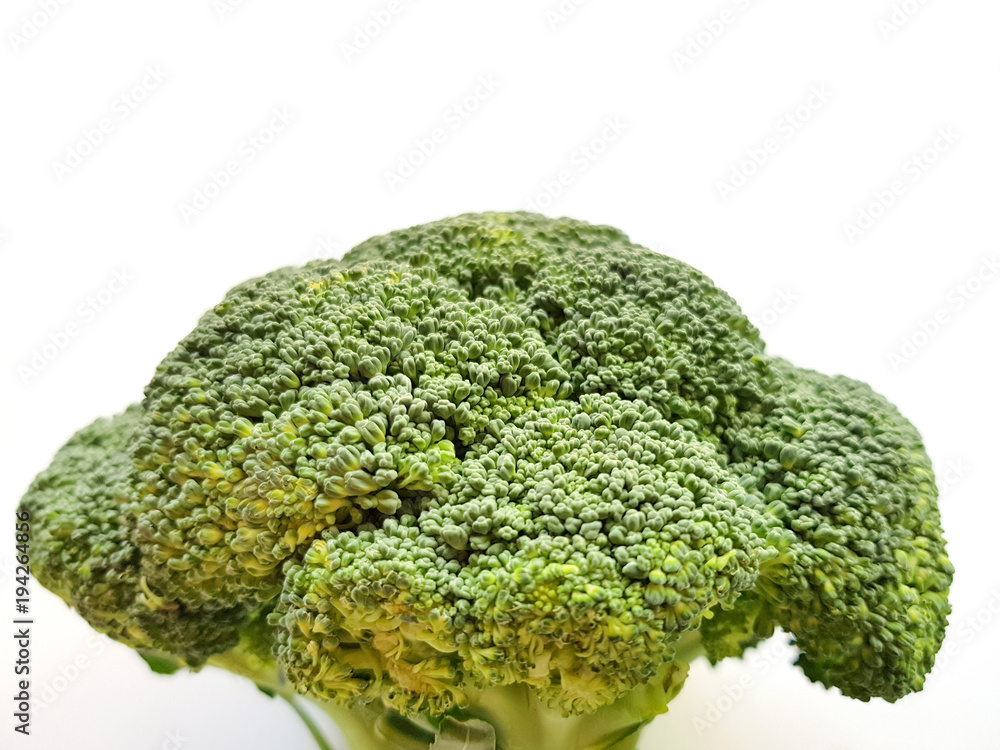 Branch of fresh tasty green broccoli cabbage, Broccoli isolated on white background. Branch of fresh tasty green broccoli cabbage, Broccoli isolated on white background.