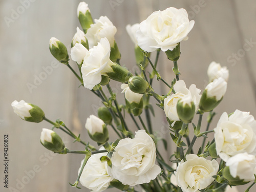 flowers white carnations on a wooden background.  © homohomozaza