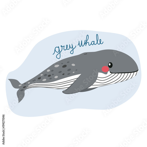 Large grey whale illustrati...