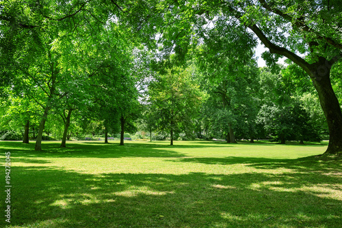 Fototapeta Naklejka Na Ścianę i Meble -  Beautiful meadow in park