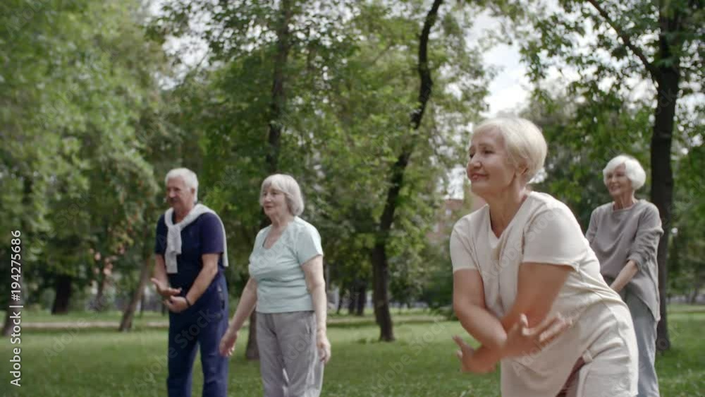 Tracking shot of group of elderly people doing warming up exercises, stretching and breathing deeply in and out in park Tracking shot of group of elderly people doing warming up exercises, stretching and breathing deeply in and out in park