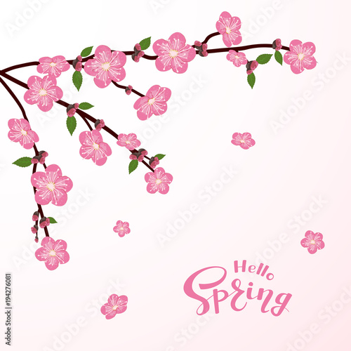 Cherry tree flower and text Hello Spring