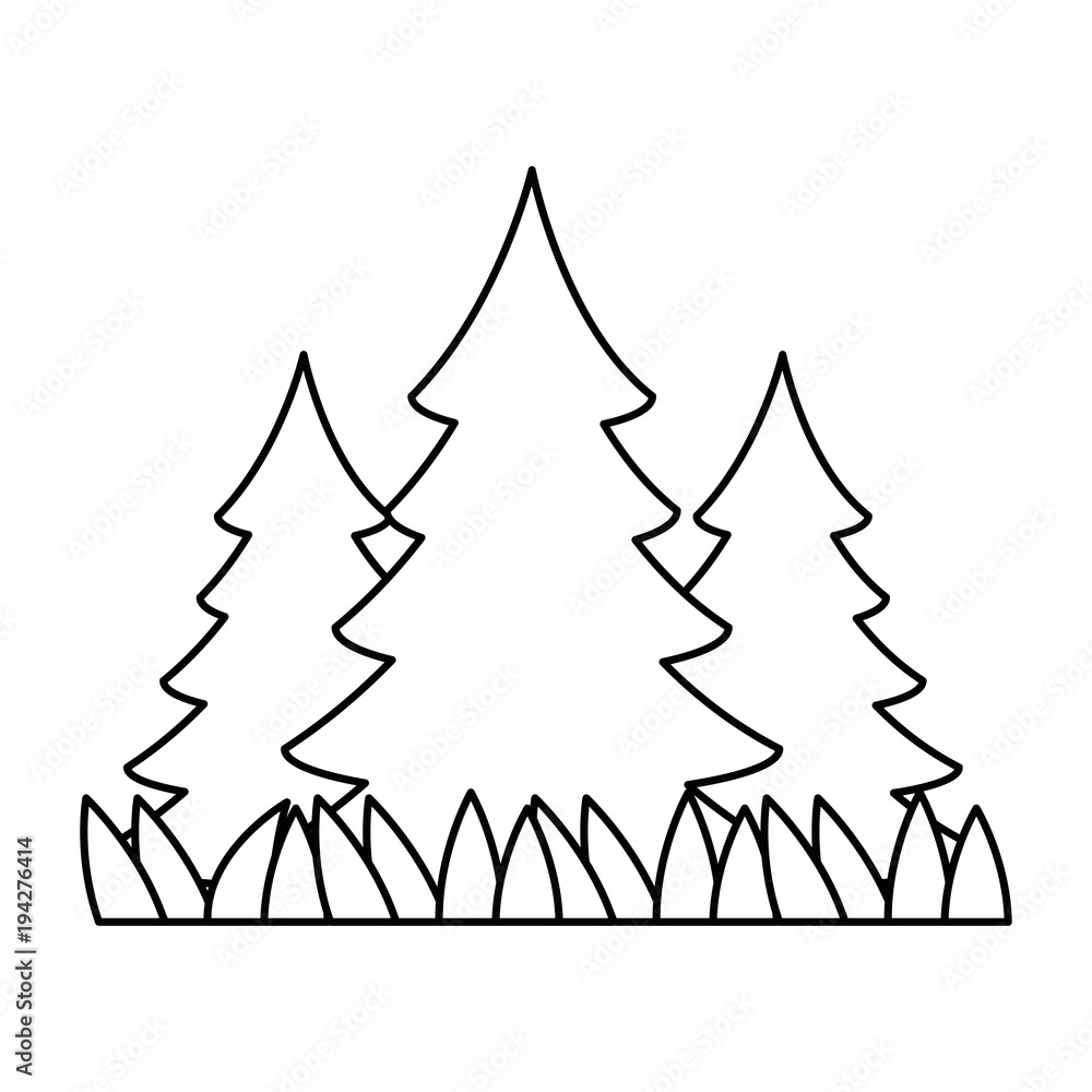 Fototapeta premium pine forest scene icon vector illustration design