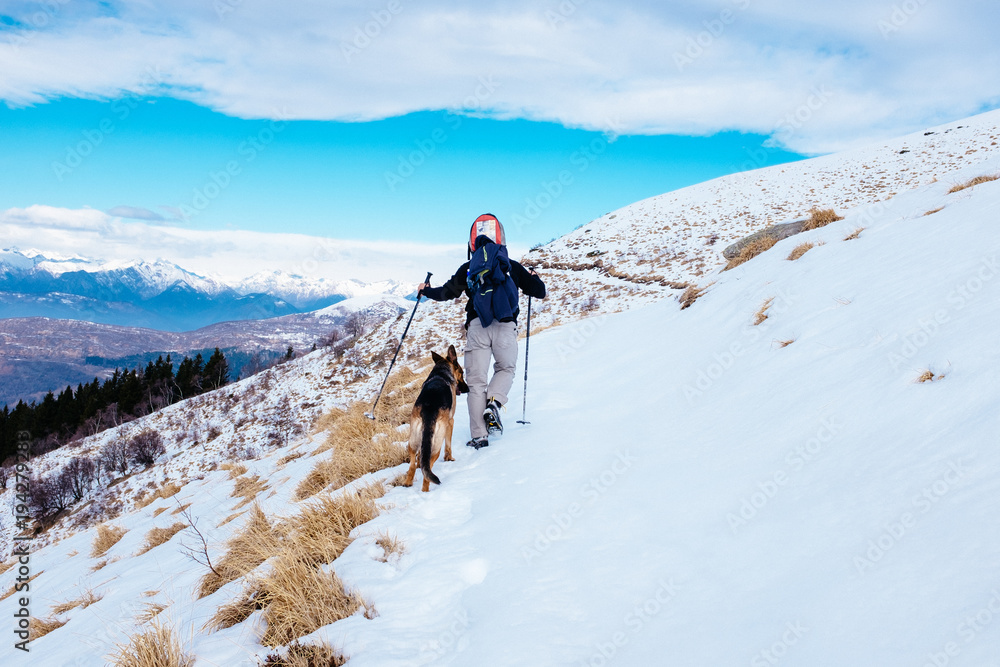 hiker walks in snow-covered mountain with his German shepherd dog