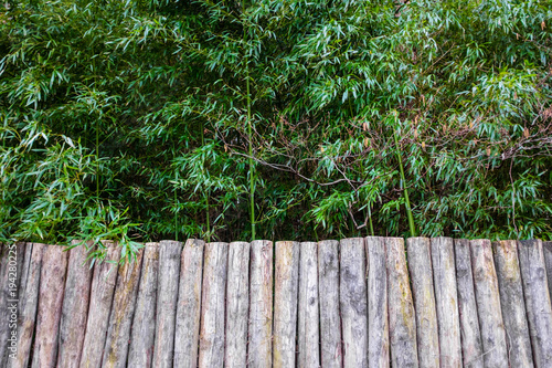 palisade of rough wood and bamboo grove