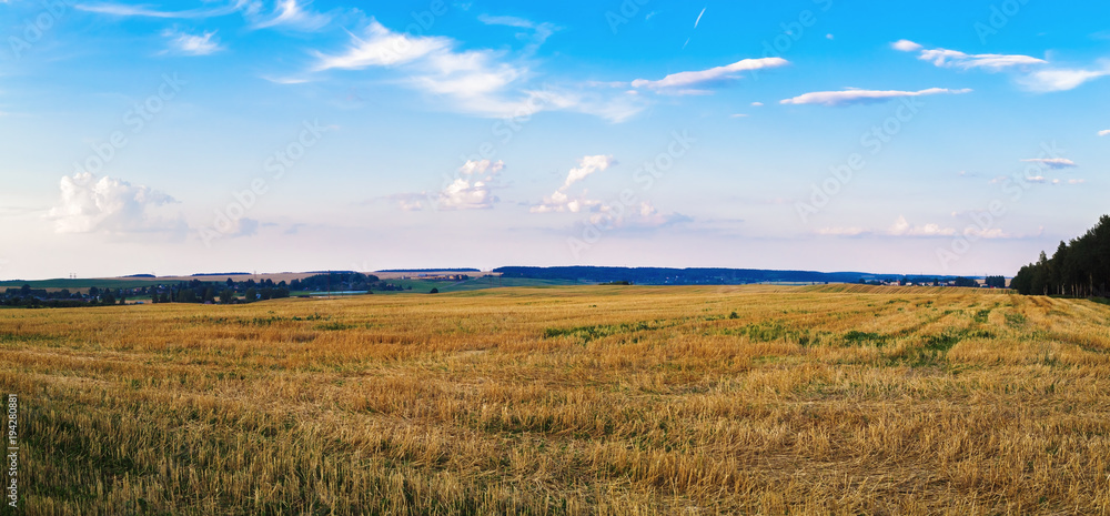 Autumn field of cut grass after harvest. Rural landscape. Panorama shot.