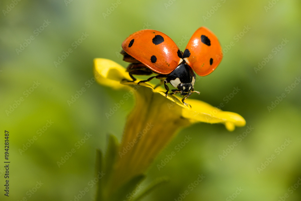 Naklejka premium Abflug...