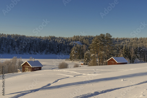 the winter in swedish Lapland © paolo maria airenti