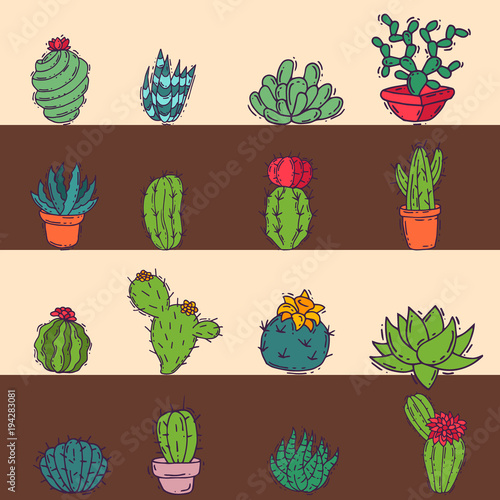 Cactus home nature card vector illustration of green plant cactaceous tree with flower