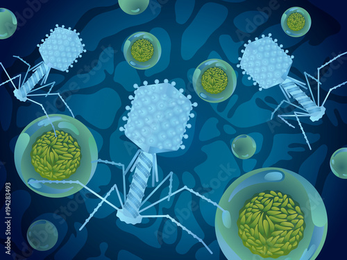 Bacteriophage and hepatitis virus