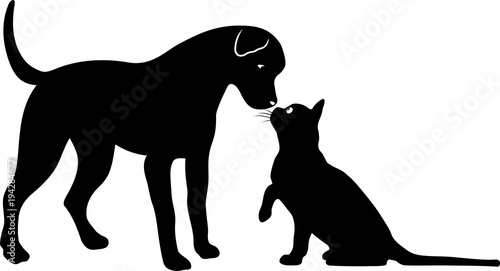 RENCONTRE CHIEN ET CHAT