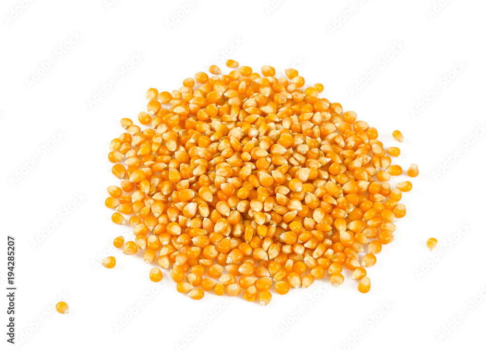pile of dried corn isolated on white background pile of dried corn isolated on white background