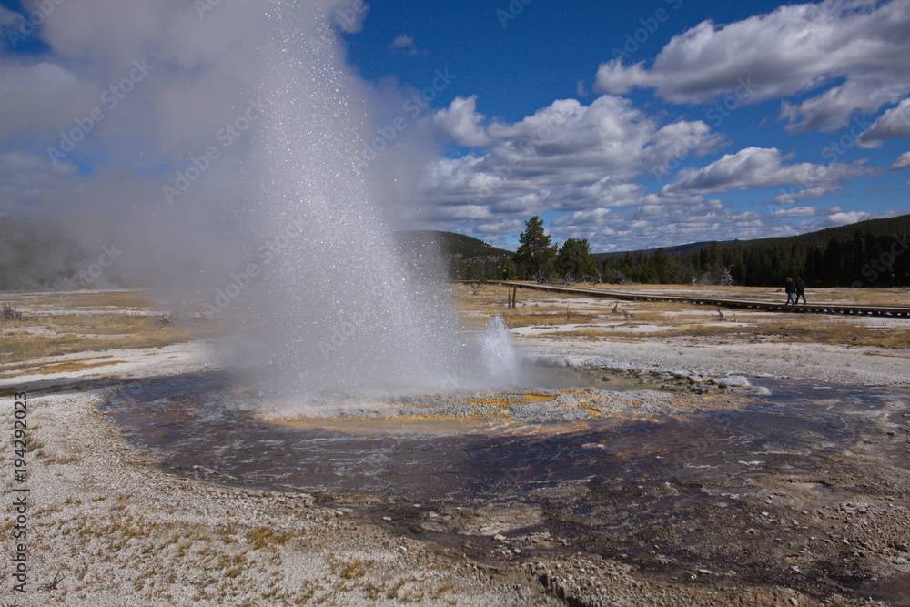 Jewel Geyser in Biscuit Basin in Yellowstone National Park in Wyoming in the USA
Jewel Geyser in Biscuit Basin in Yellowstone National Park in Wyoming in the USA