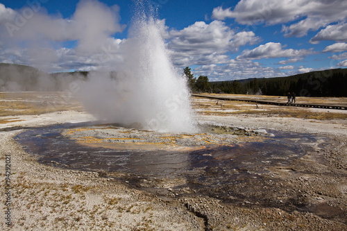 Jewel Geyser in Biscuit Basin in Yellowstone National Park in Wyoming in the USA 