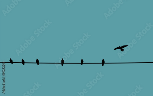social distancing concept. birds on wire color background