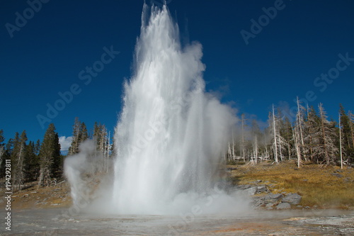 Grand Geyser in Yellowstone National Park in Wyoming in the USA 