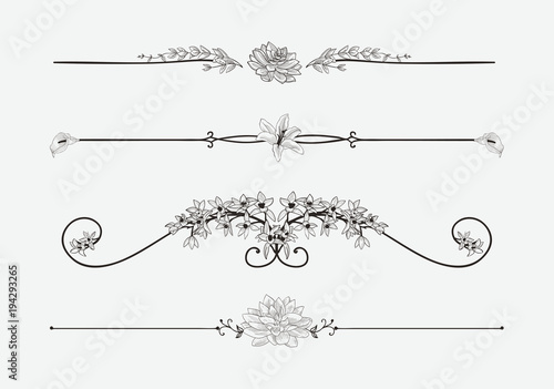 Vector Black Floral Dividers with Flowers and Swirls